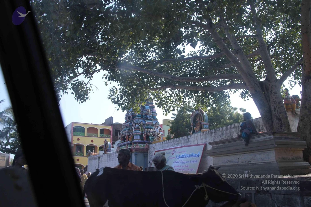 20110926 Photo 1177 1u9StPggYav-XH ir8BMV5jHEDGc5oZMj.JPG