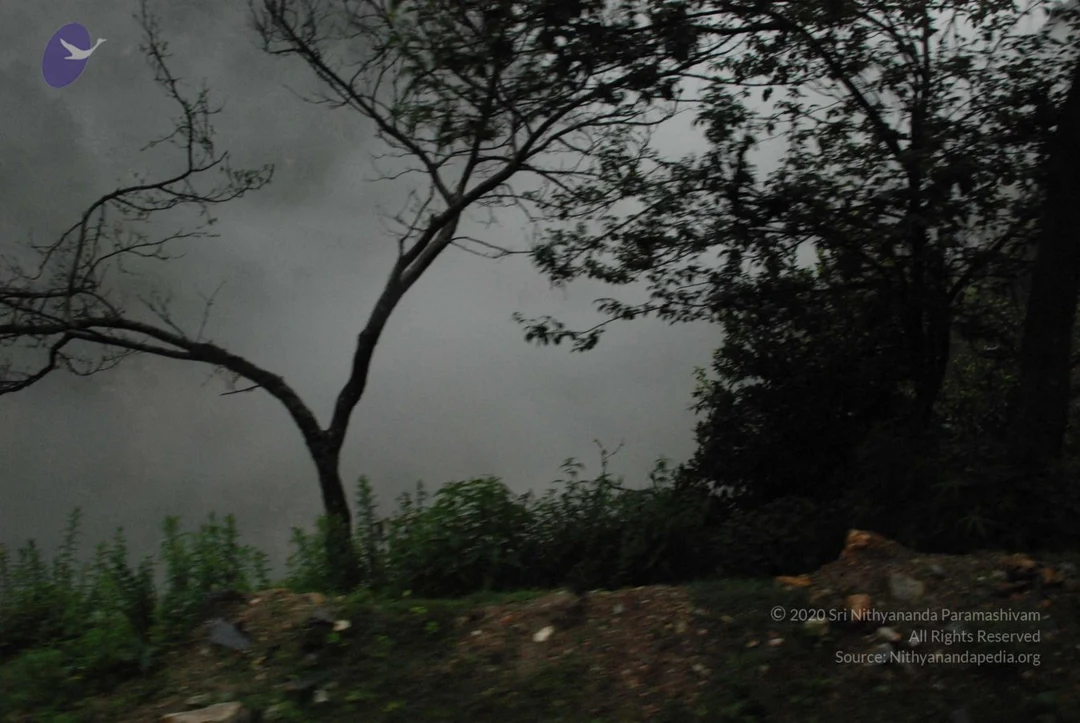 20080707 Photo 1206 1e2VCKbeeQjHwF02wBdbHx2L0bjhvqQpF.JPG