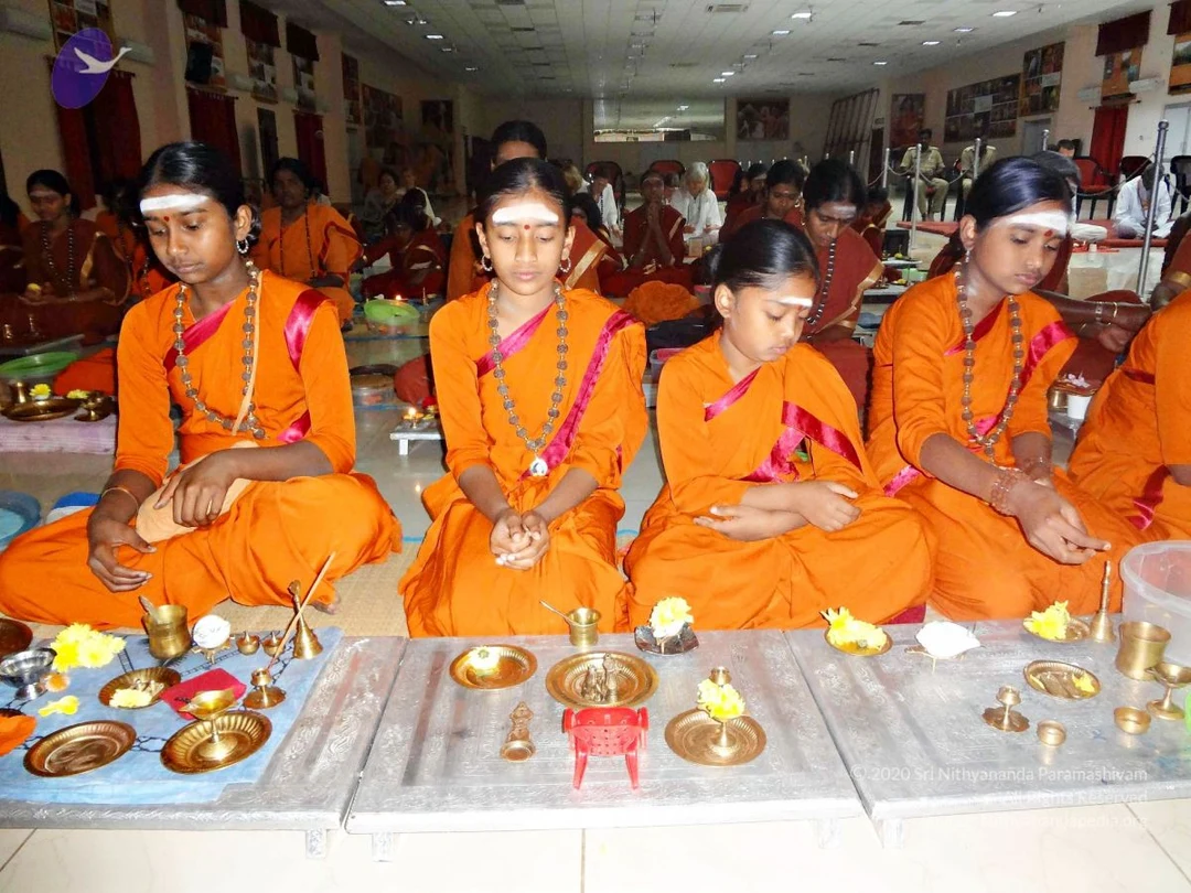 Batch 20140203 00443 CMP WM.jpg