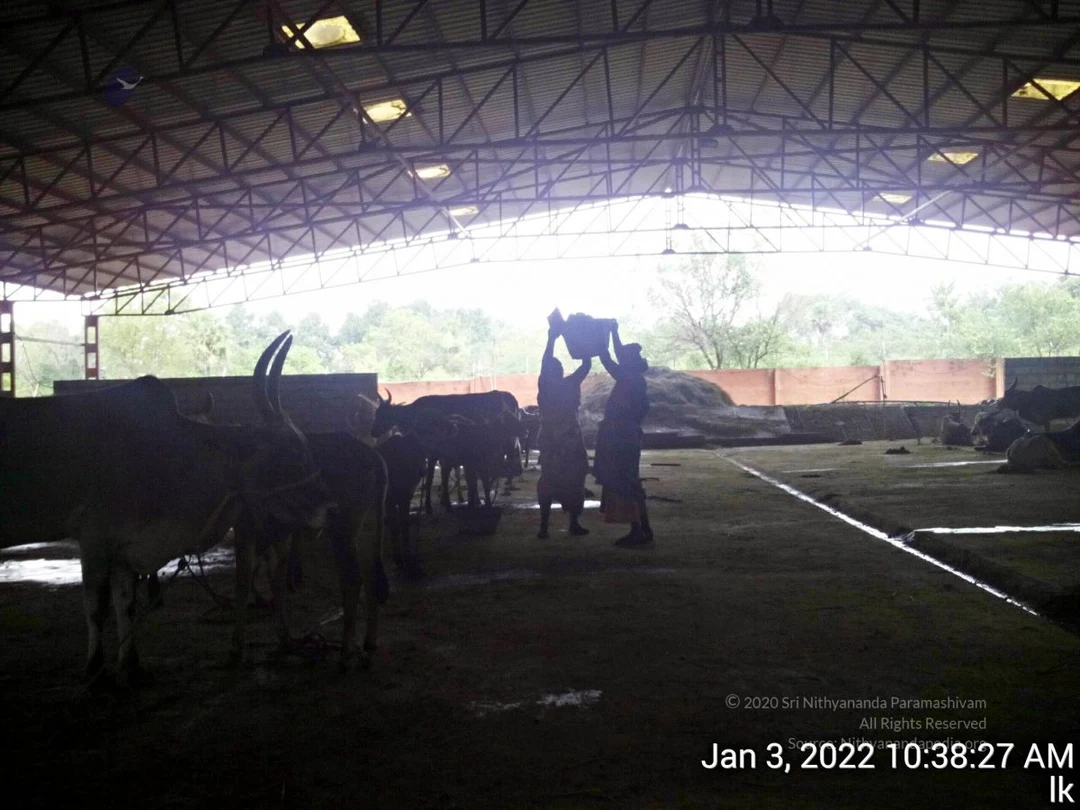 20211227 TimePhoto 20220103 103827 11.jpg
