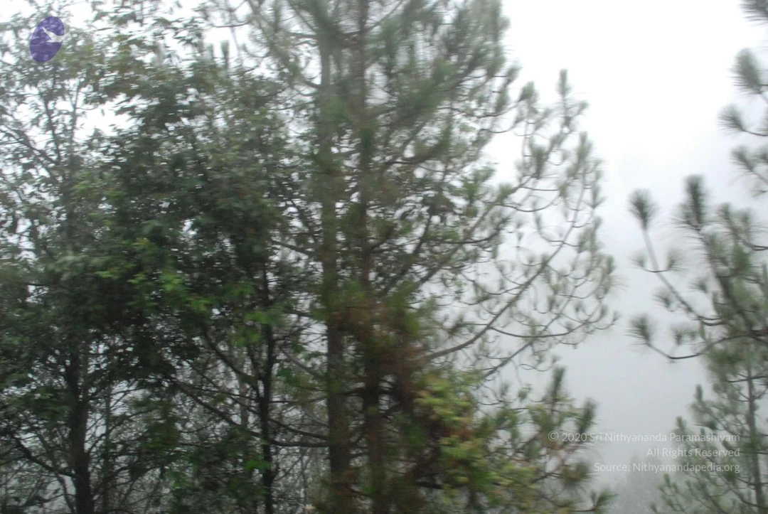 20080707 Photo 1531 1JwHAxj4V6U5LSDcODce37GL0mc fkk2c.JPG