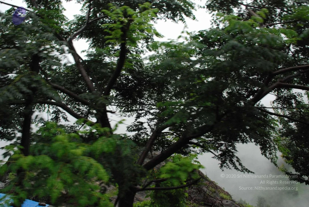 20080708 DSC 0546 CMP WM.jpg