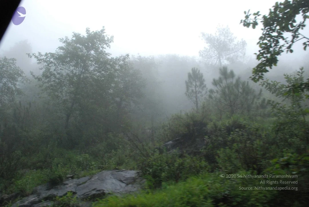 20080707 Photo 1459 1QxWc7gLyRjmI0cN0KRBBpewcb5UiO2I9.JPG