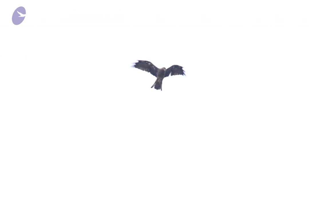 20130708 Photo 1129 1Y667pW3HImewt1rsJhlarxSKAcPRXioc.JPG