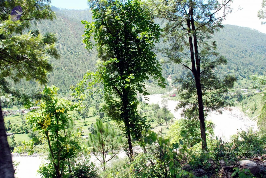 20080701 DSC 0622 CMP WM 0011.jpg