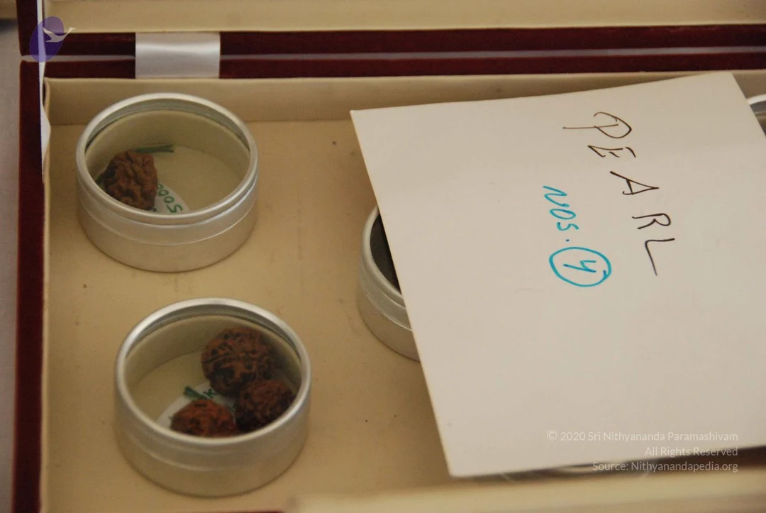 20090730 Photo 1213 1MUSgkb0ipXB1Zcm4J3ST7d54vbSGwCko.JPG