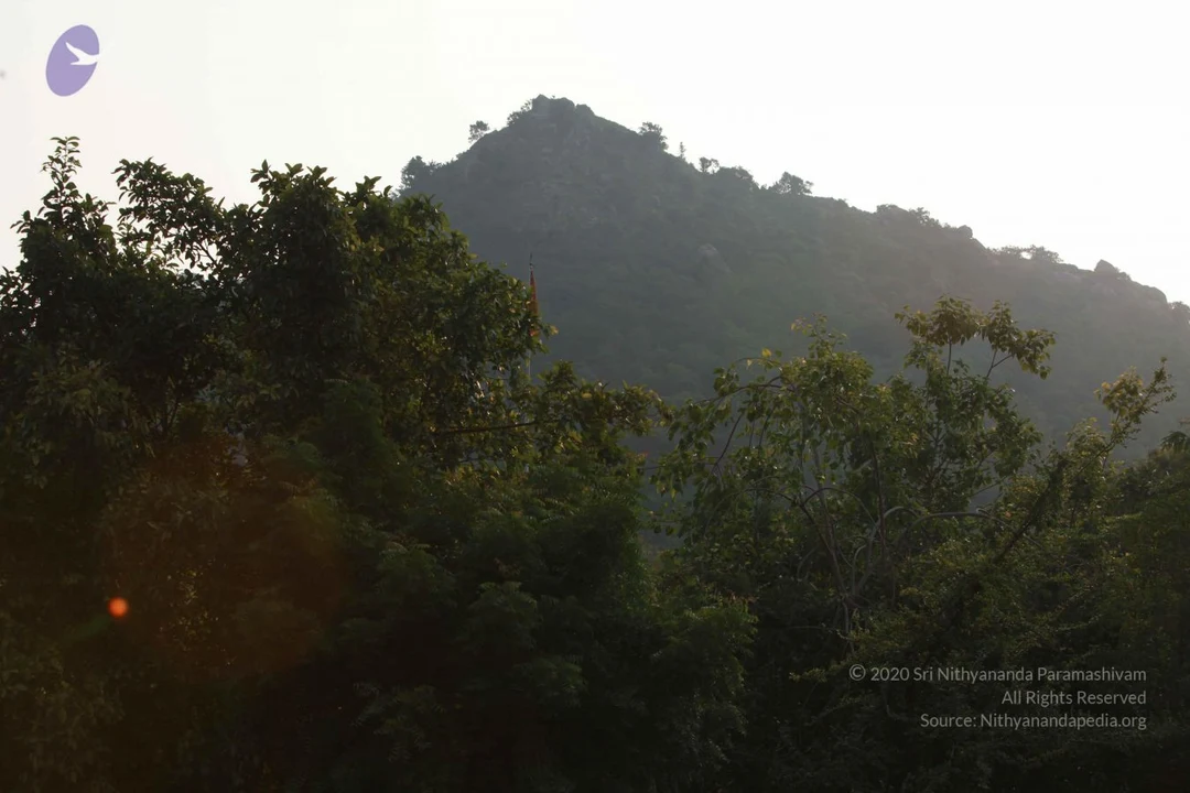 20121009 Photo 1035 1-QnQ9GTgnyaWnmCvIpuuQJVwqlICwdL .JPG