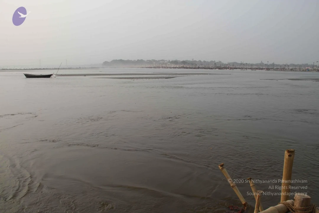 20130205 Photo 1139 1YPcCc3ovpIYWHRNhyVMoLUTY-Jrk9UzQ.JPG