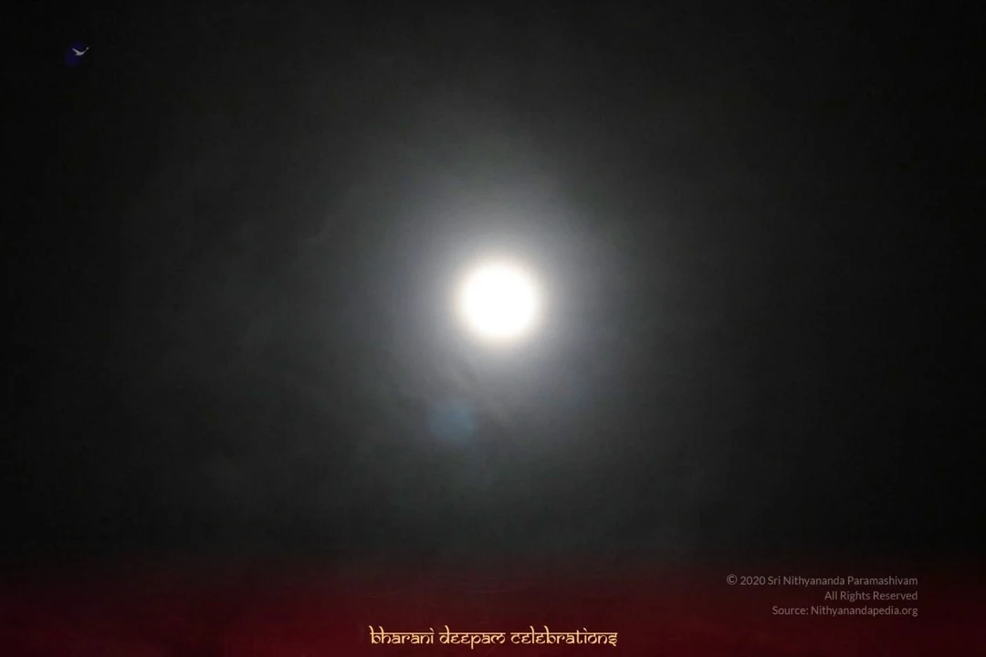 20201129 Photo 1002 1Cy1-wuOo8PzYy8sZc3g2QPv-bOsb4M0W.JPG