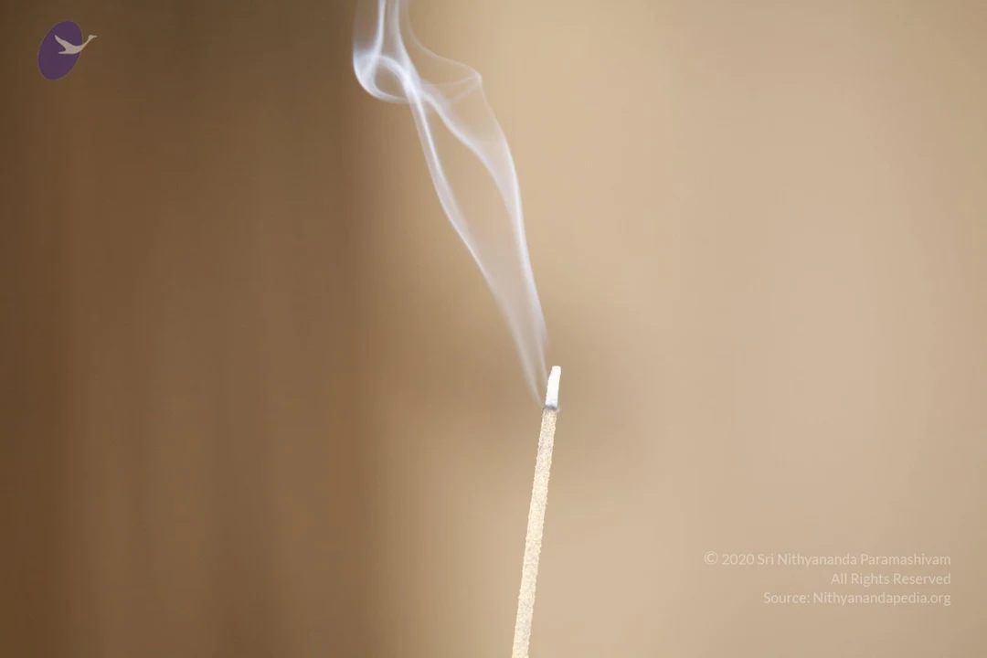 20120109 Photo 1020 1OdMVyhfbStT1l7ZpvSg3K61B4w 2j2D .JPG