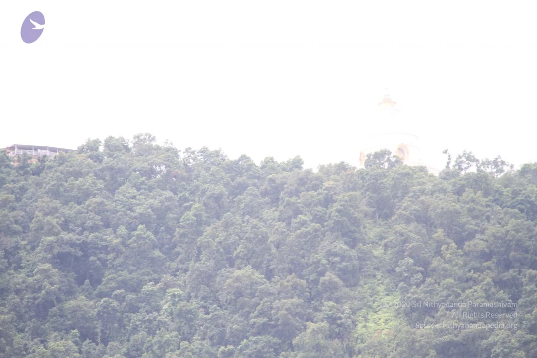 20110729 Photo 1086 1umfocV1HUKJnhlqUN9sVlf10GWsJdzSN.JPG