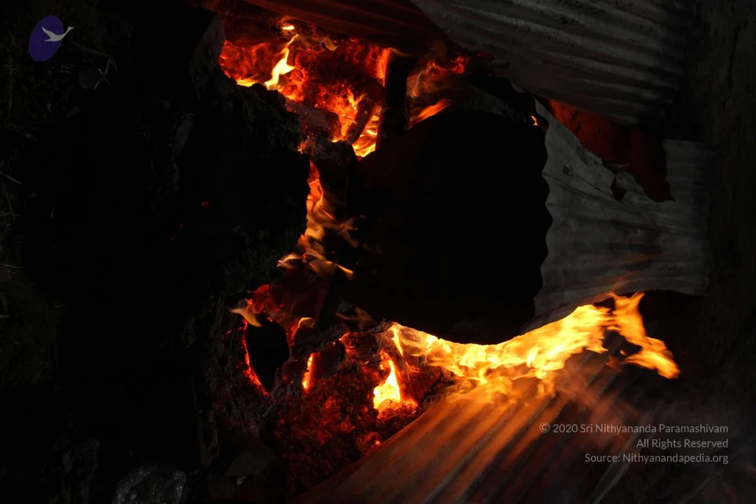 20130904 Photo 1077 1q8177y0CeZhwNN01fUsdEeDaBwZDJZsd.JPG