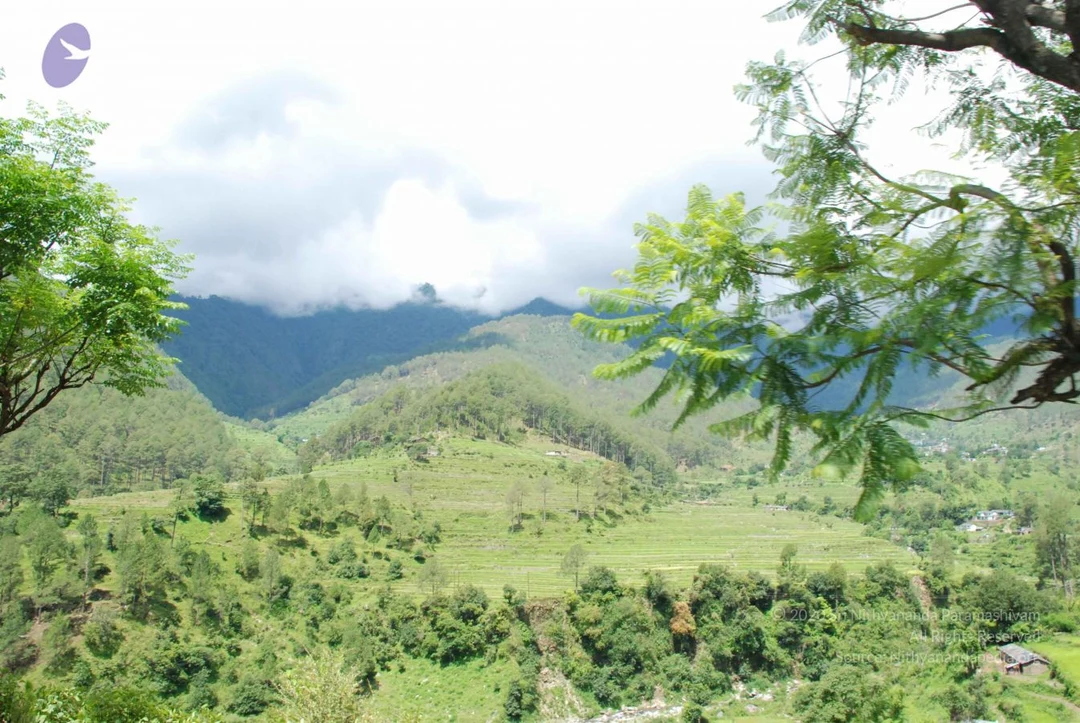 20080702 DSC 0470 CMP WM.jpg