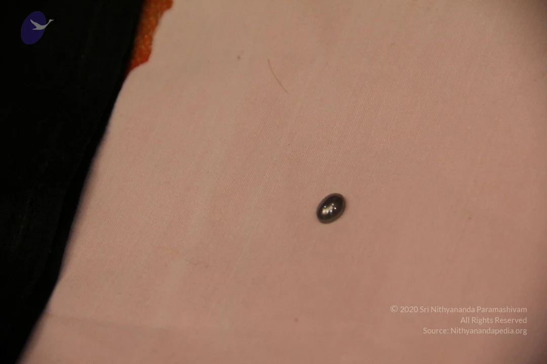20110901 Photo 2660 188QqMP8cXAKIJXjMs0VLrZuGqswvV-J1.JPG