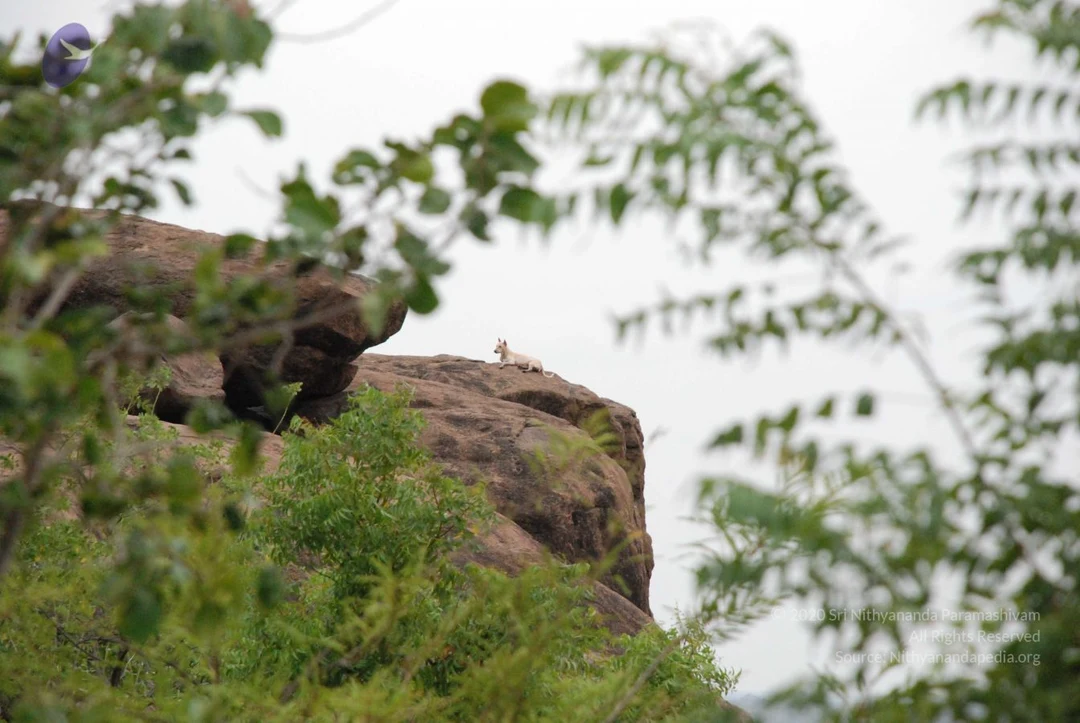 20080802 Photo 1273 1rXKaAAUSAXOfDkMJjAN1zFiPKbSFdD6o.JPG