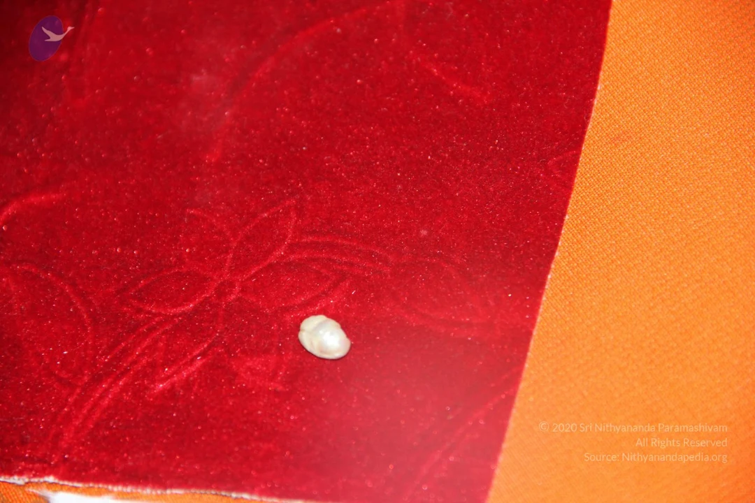 20110901 Photo 2669 1rZRmO8IWXnKdKNdw548c5aaO-4YwiEmL.JPG