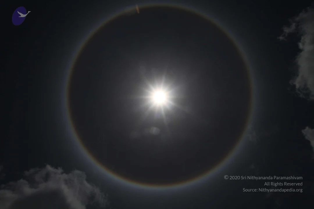 20100711 Photo 1340 1BbkQLCZFR0kk4jkKvl6eYMvorq2gpl7A.JPG