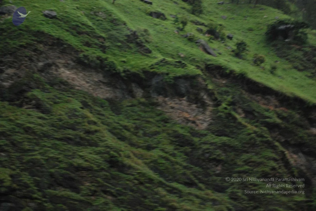 20080707 Photo 1377 1ZLahckpkh79fMNFgZQnybMIAxy-AsUyM.JPG