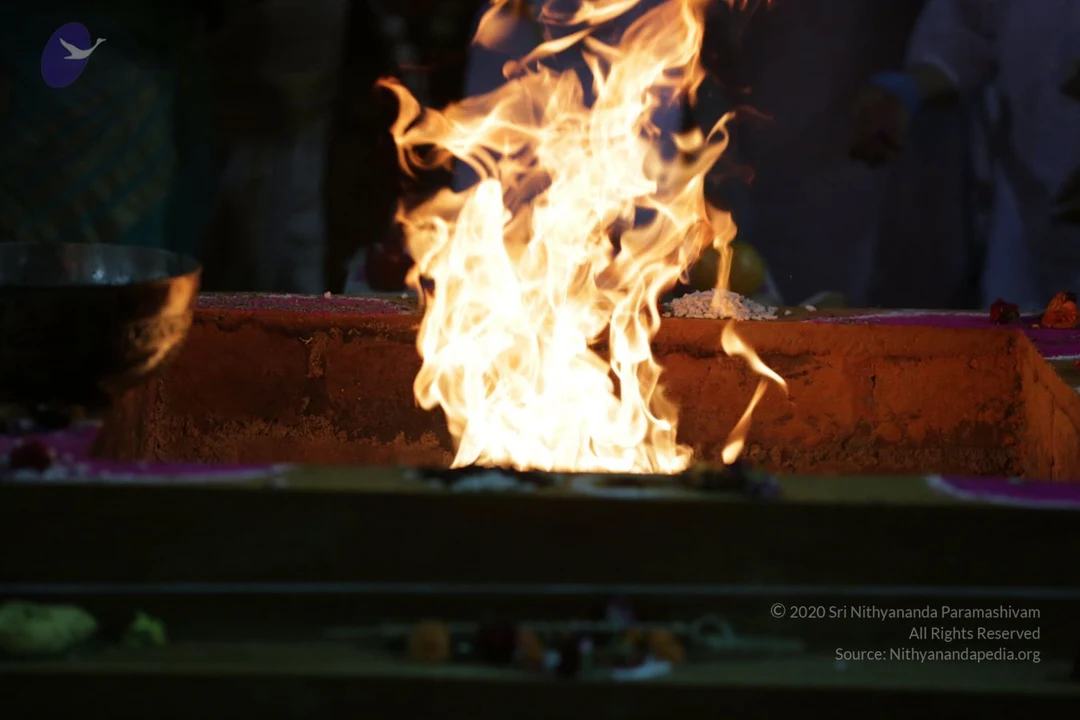 20161202 Photo 2210 1 9GlPMe7B8RJ7bSypfHNfbcg46 GqiPc.JPG
