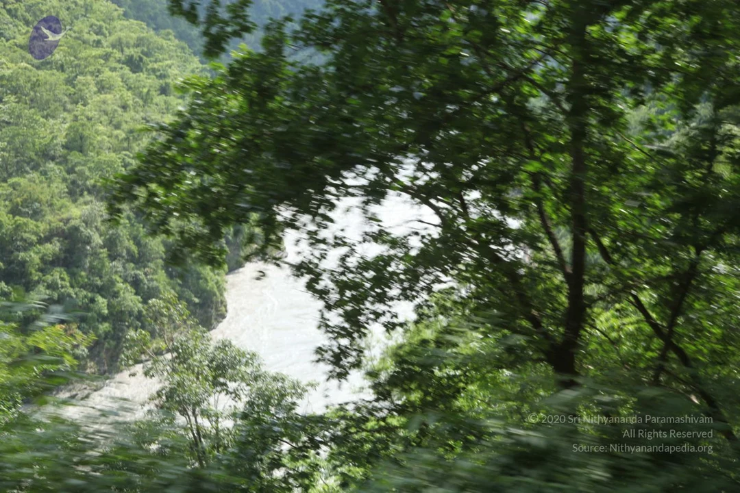 20110729 Photo 1004 1-3njkMEvhOYdg7YQDsHjszKUuYQ2lrJ3.JPG