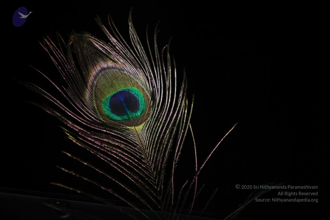20110909 Photo 1653 1lRuO2bkbIpl3Sd7wQdZt24ROuJTzNg6g.JPG