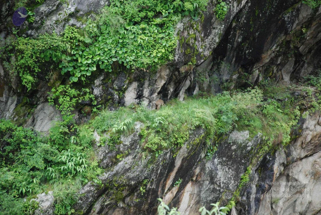 20080702 Photo 1297 1JOfE8Bl5m9x5PXKBCNb03uTEXZ4WYg45.JPG