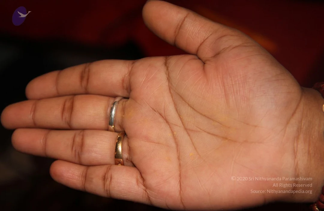 20110514 Photo 1013 1Nb aE38G-dYo7u32FAmYAO9TN0AiZcz-.JPG
