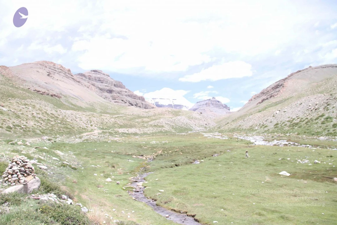 20110806 Photo 1114 1wnjxGi66FjzeS4wr4dkbQChySD2jgXzY.JPG
