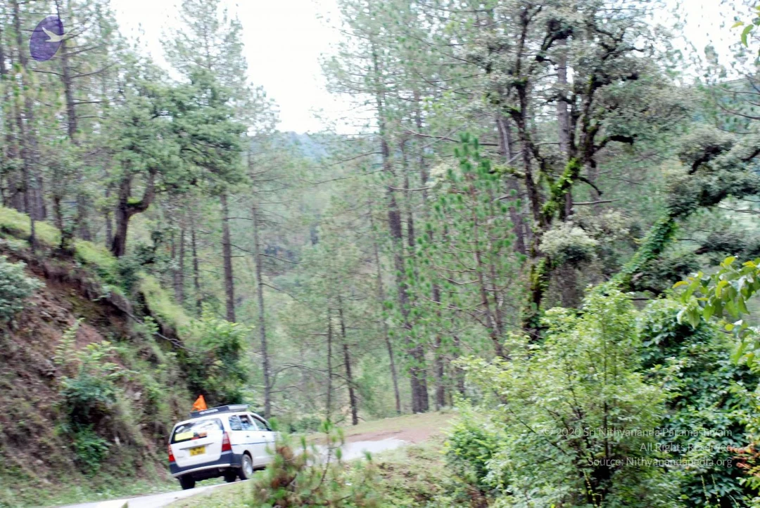 20080701 DSC 0322 CMP WM 0011.jpg
