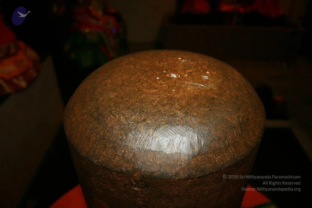 20110227 Photo 1007 1-NP j8prIzThxrkayMEMglknaAlh74ly.JPG