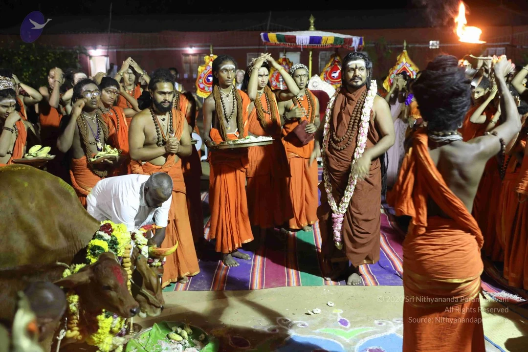 20180115 Photo 1229 12AY1cagFgSgBRa5Xo70qkHuu4Qns0Rmp.JPG