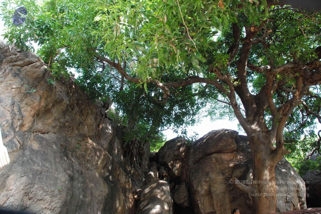 20080803 Photo 1147 1gJ0VFef57JDsbzmyggt1Z0cUfaN2zkpV.JPG