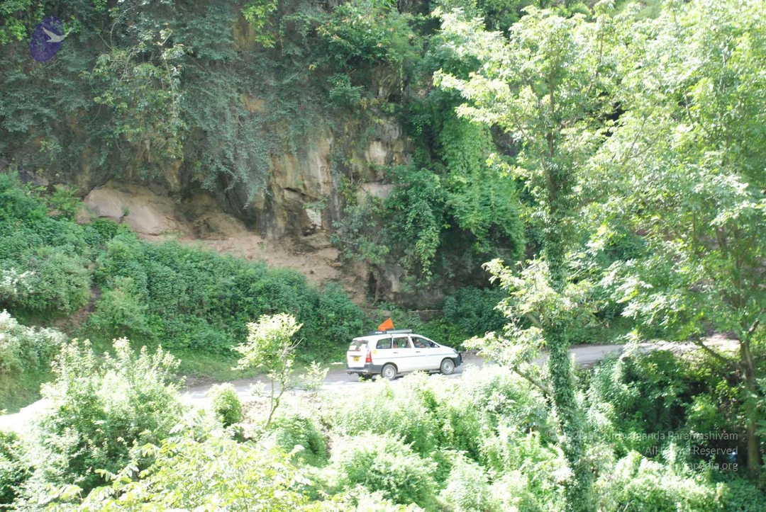 20080702 DSC 0493 CMP WM.jpg