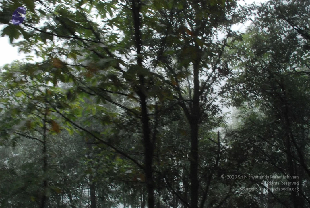 20080707 Photo 1540 1LygfpsKImAIdPxzxqbIDWkYee EHRcAf.JPG