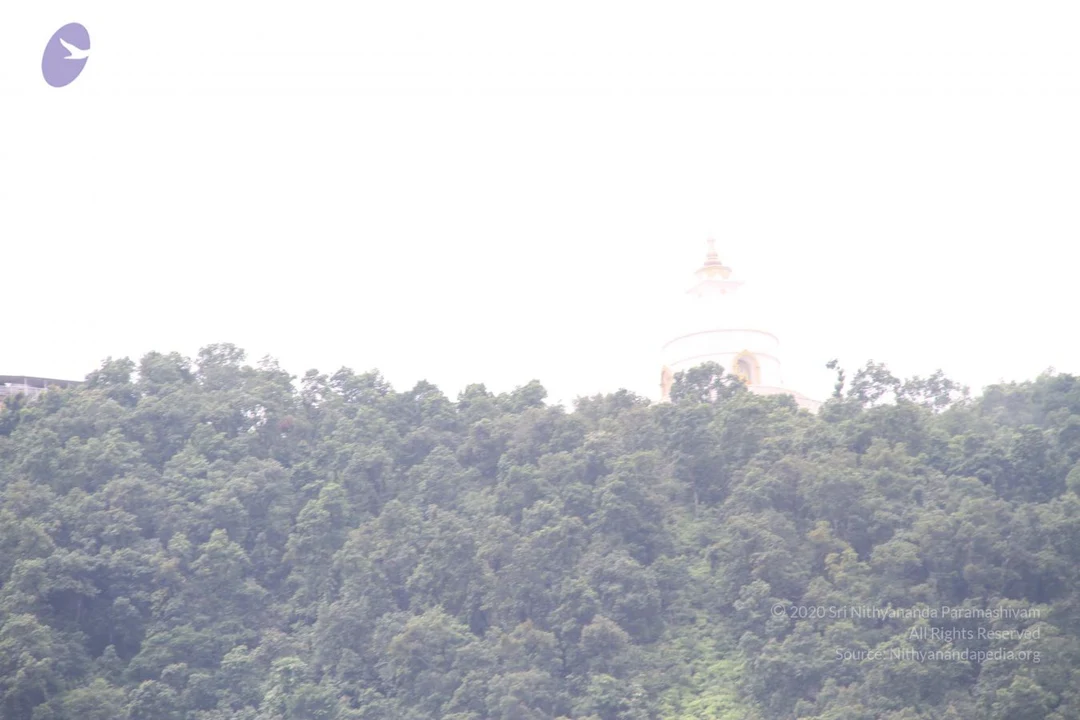 20110729 Photo 1087 1MS8m7DgB7dfY -aR9GEi0ayPTT6g9Pmt.JPG