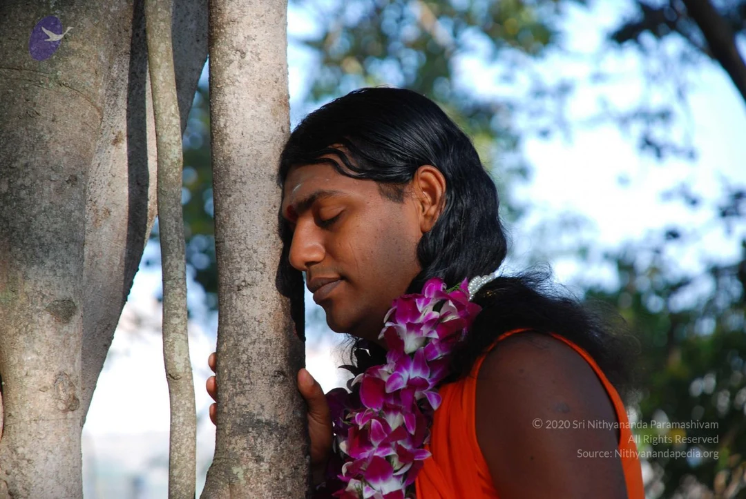 20081231 Photo 1428 12 HzNB88myujZkepDYJc8wznRgl4JvFq.JPG