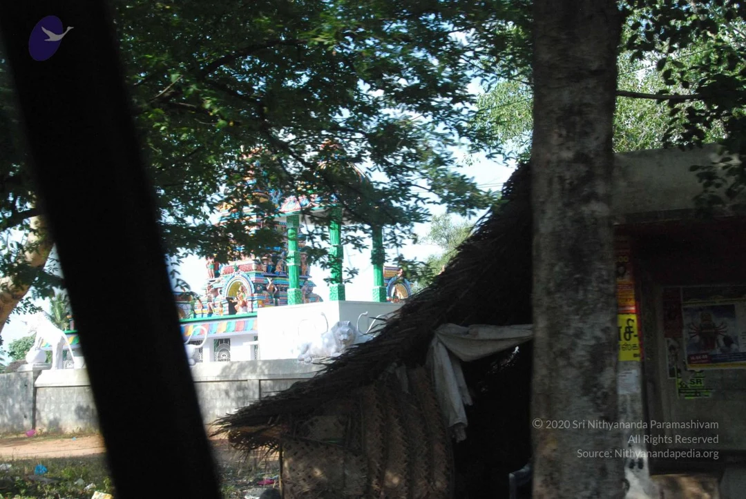 20090803 Photo 1008 1pdCLNMdwp4klma0siN4fBZYsSuWm4R2Z.JPG