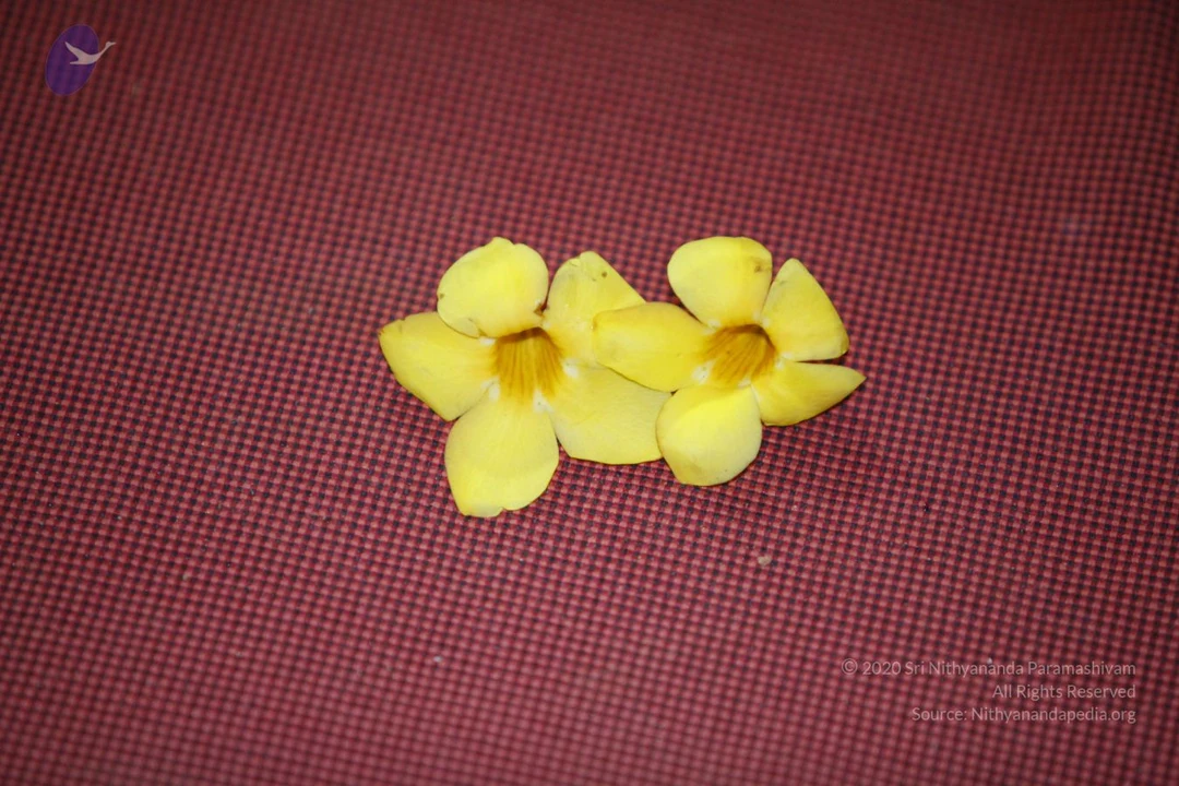 20130624 Photo 1205 1xPjM8314ANLHQDGXVVxwR6HG9fdn54Rj.JPG