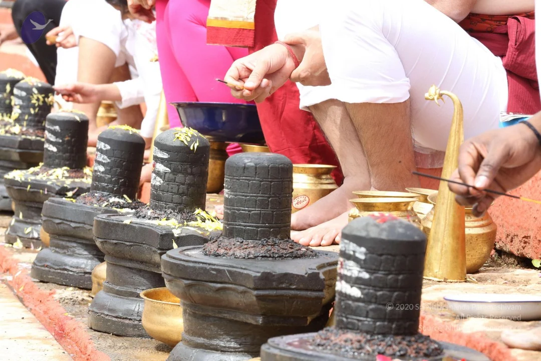 20161203 Photo 1941 1fd ls3tNUCVvG5noOgI59NQv6o9vtOeQ.JPG