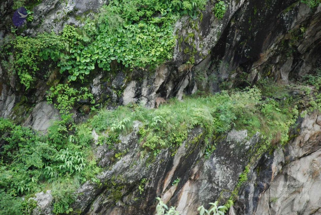 20080702 Photo 1298 1ZCZTQqSq24zMrVq-YcJPHOduJmYqfuNS.JPG