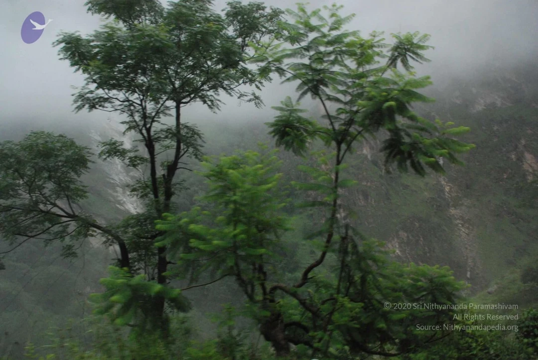 20080707 Photo 1276 1ENWmJfJmACHKI-z3AbJck-gdmAziUo 9.JPG