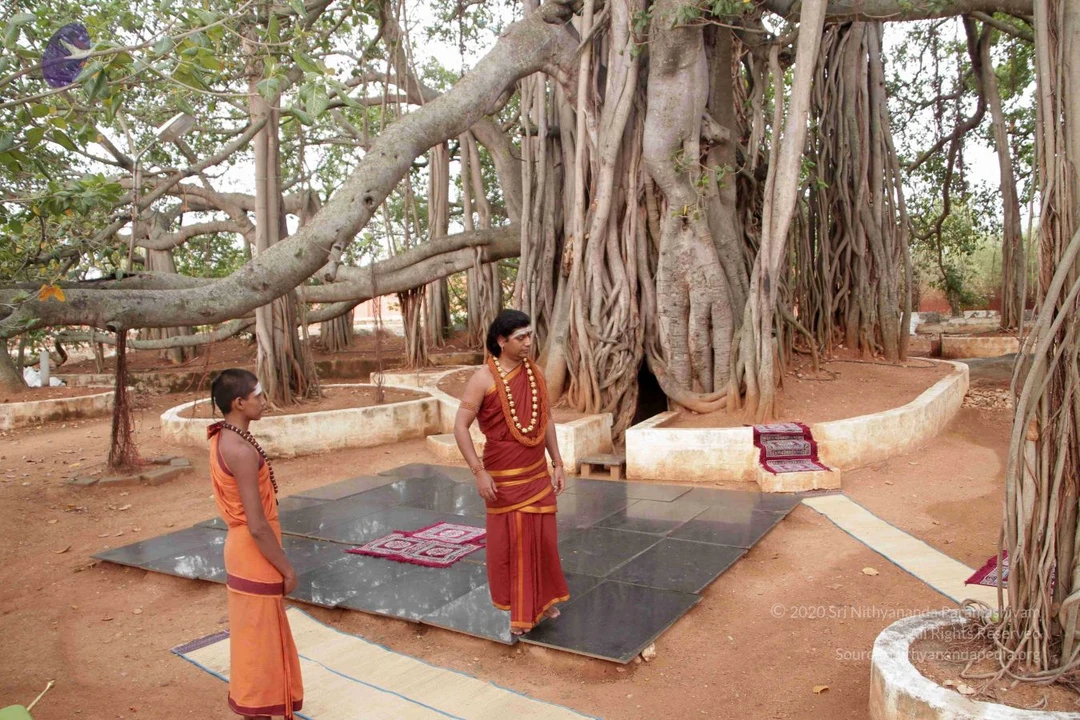 20130406 Photo 1031 1E5swejdr5Nk3YCQydXMC WAUg8trJnOD.JPG
