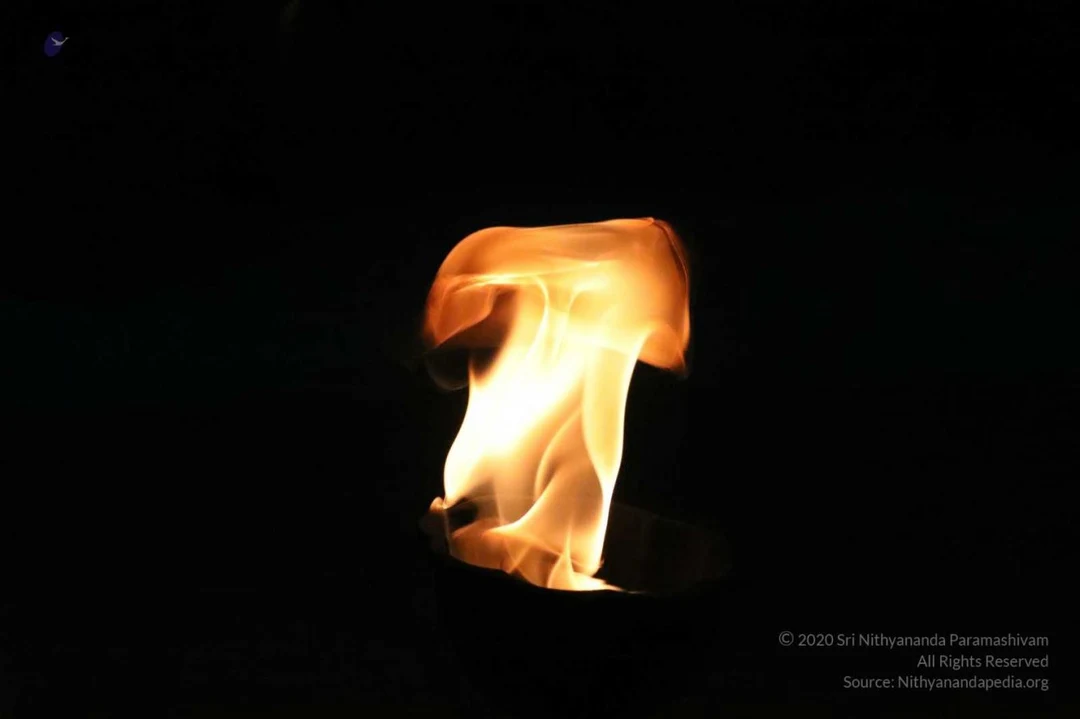 20180306 Photo 273 19IbWFySeZEkeFh5piqcpF7UL nodugvE.jpg