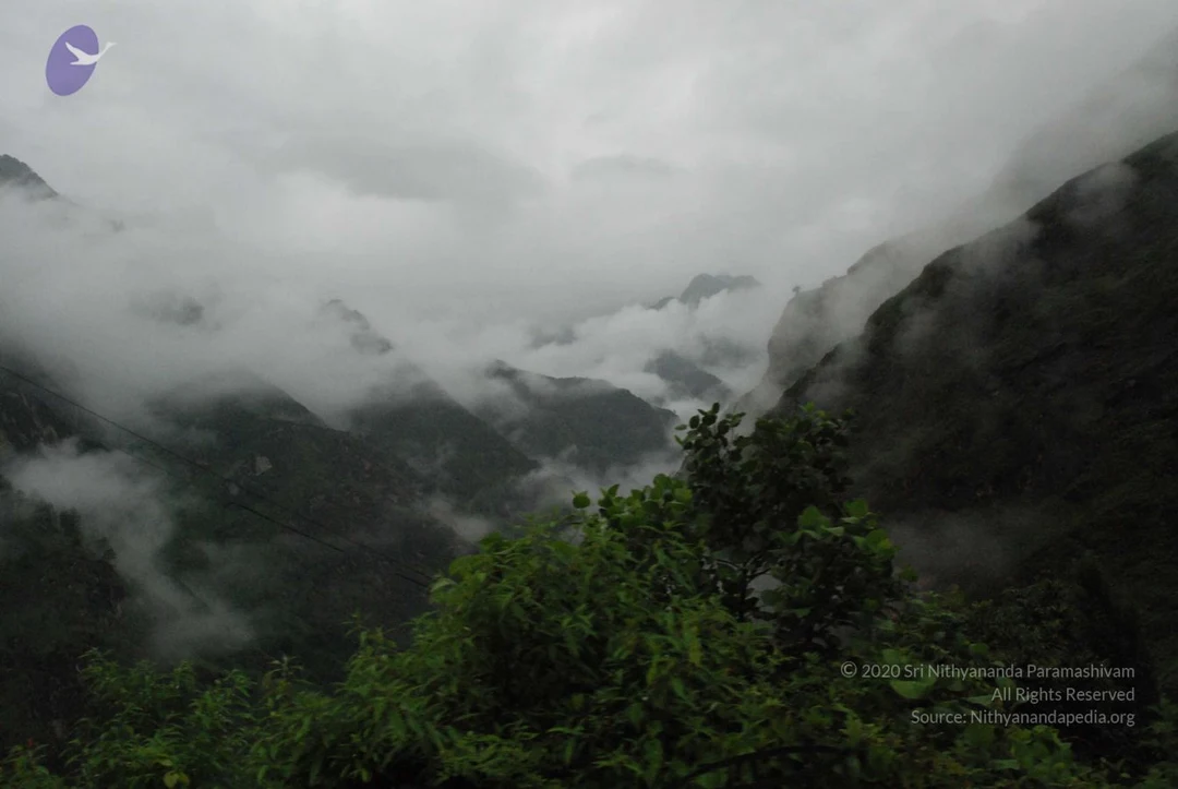 20080708 DSC 0444 CMP WM.jpg