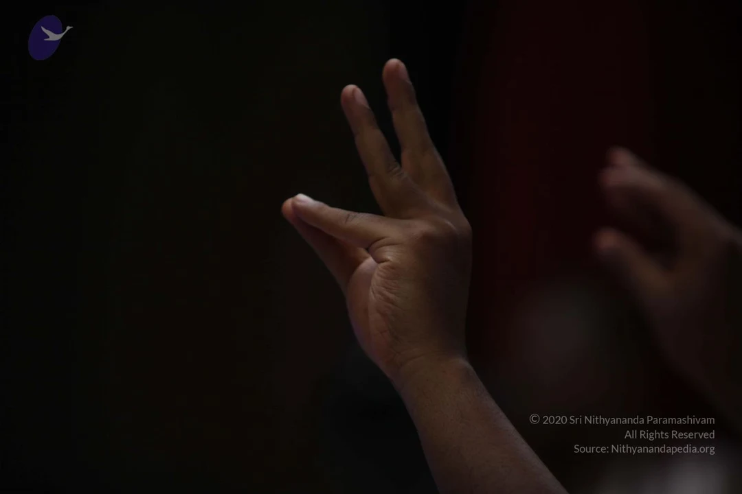 20110904 Photo 1459 1RW8M9ou76BaGtfQQtXf4BFweW9LX0LoD.JPG