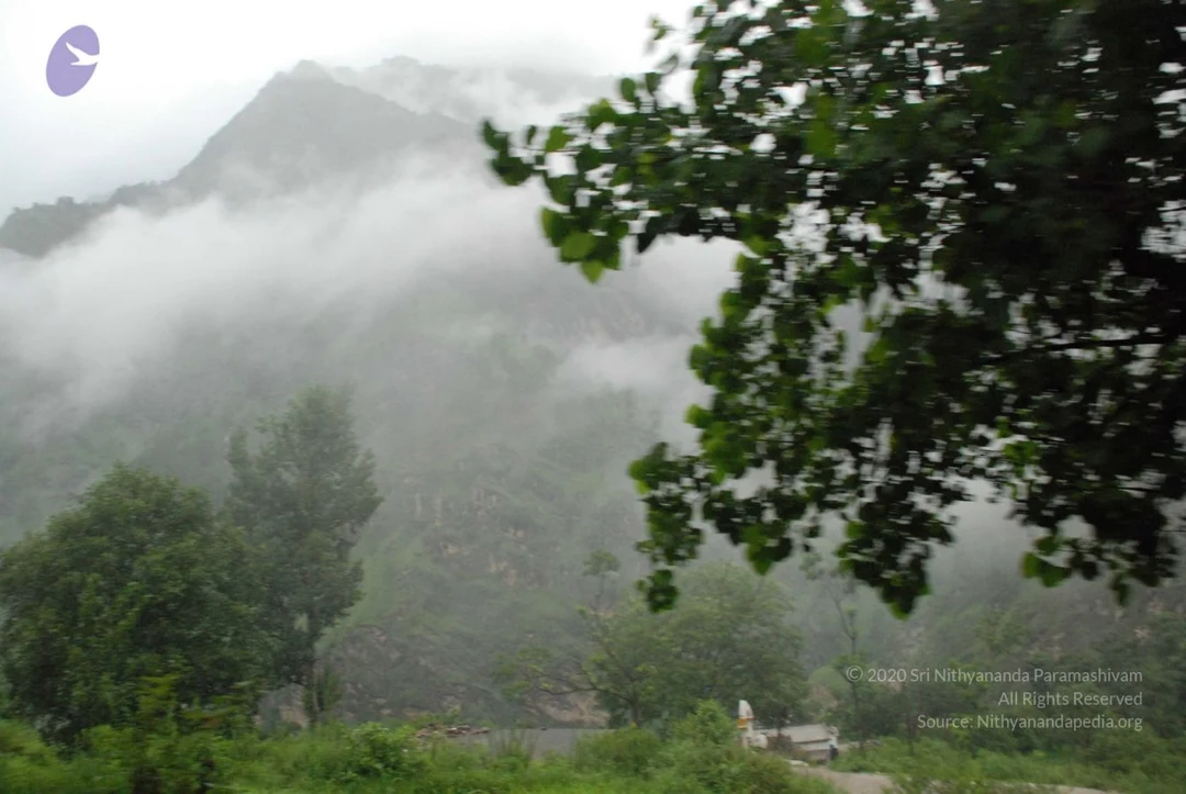 20080707 Photo 1424 1VPzrI6FM8qef9a LlgYZTdUrkhO7Rfwh.JPG