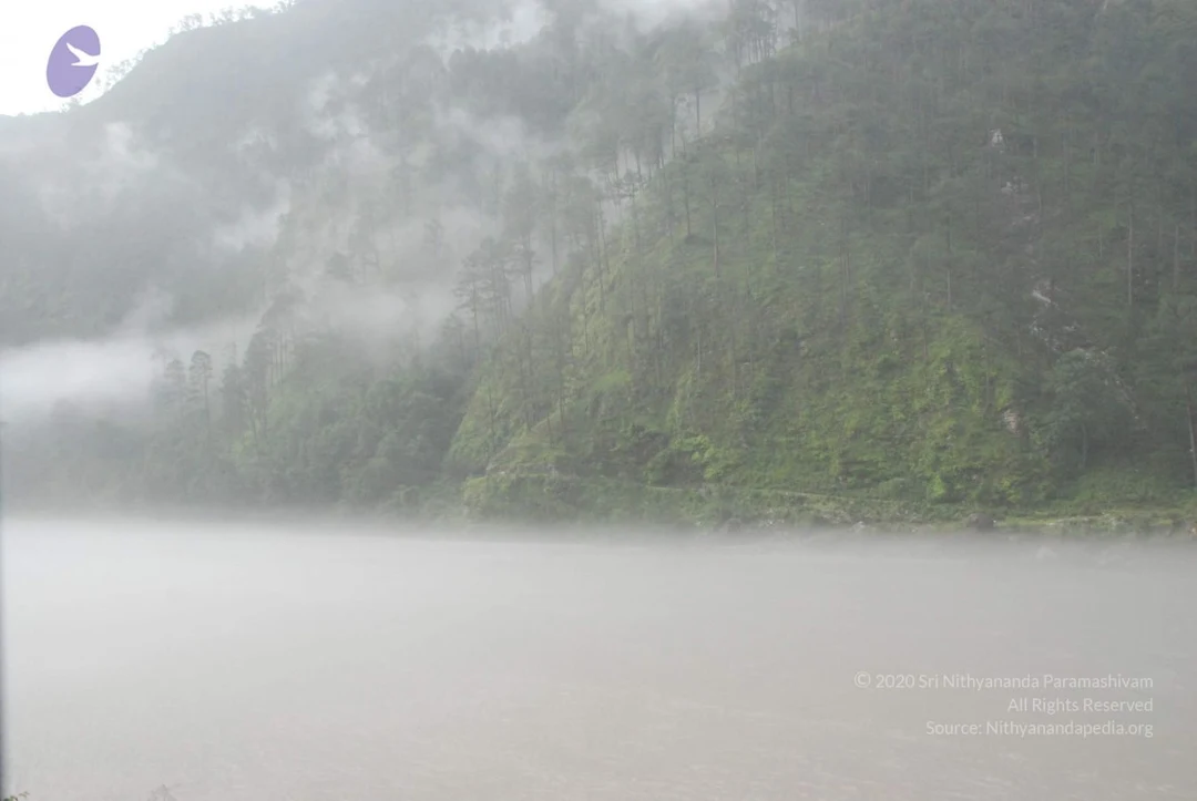 20080702 Photo 1251 1CjoXI9sxv7AG50GDNmgSZ1tFBSiljima.JPG