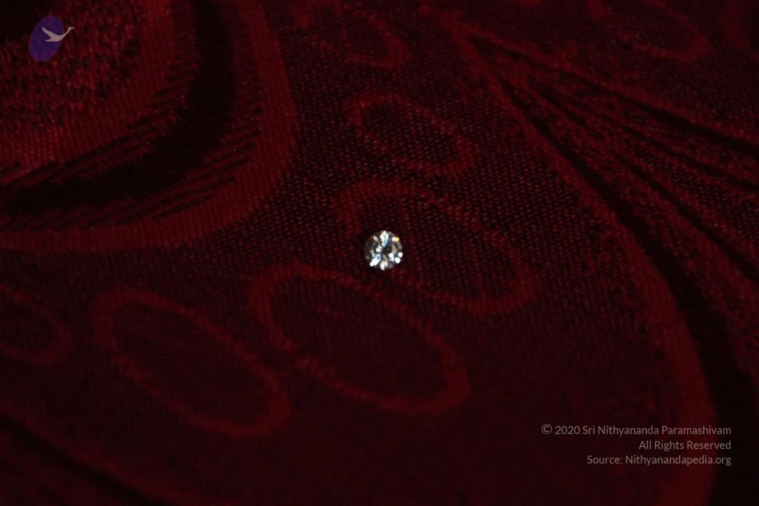 20111128 Photo 1703 1PixgEWNhzpn C6GBNVco55KUuyJzJGSY.JPG