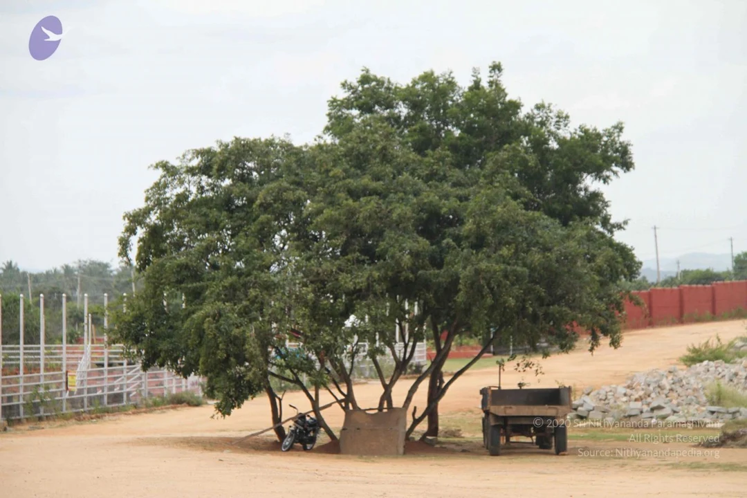 20140906 Photo 1090 1PUUMkJlpdyX8 p88nKsJKLo6wRvovrmR.JPG