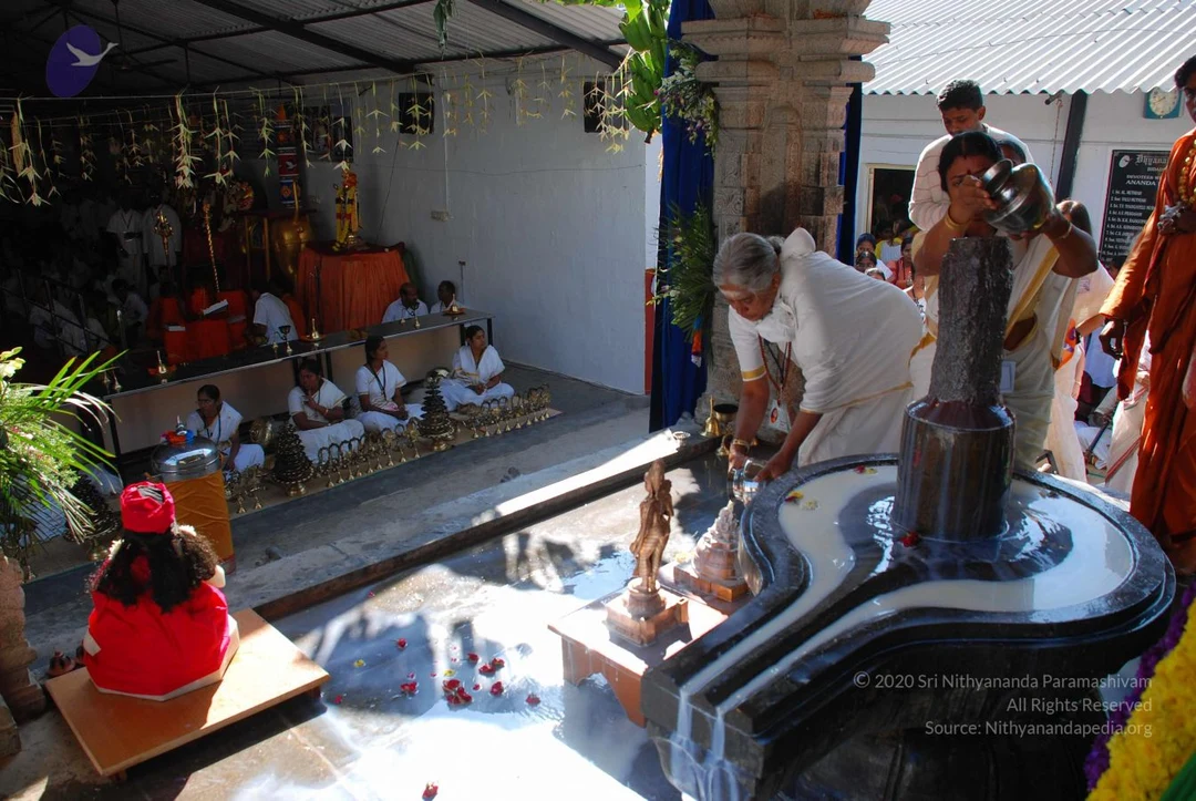 20081231 Photo 1876 1Wka6YsOC7oknkfU4sNKOcWW7rH8xggbB.JPG